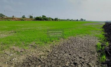 For sale 1 bed land in Lat Krabang, Bangkok