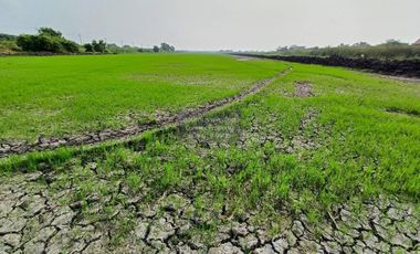 For sale 1 bed land in Lat Krabang, Bangkok