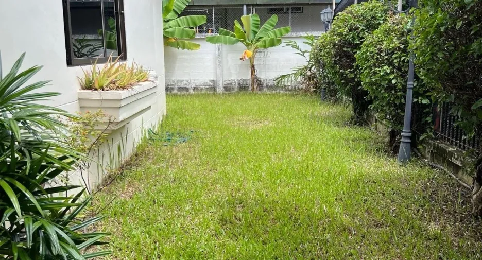 Casa en alquiler de 3 habitaciones en Mueang Chiang Mai, Chiang Mai