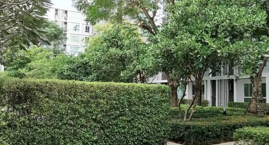 For sale 1 Beds condo in Mueang Chiang Mai, Chiang Mai