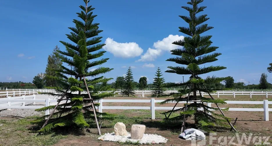 Grundstück zum Kauf in Pak Chong, Nakhon Ratchasima