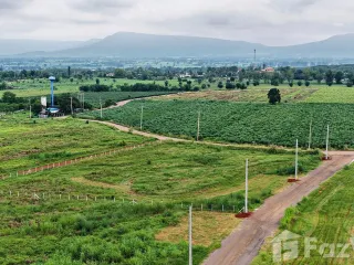 Grundstück zum Kauf in Pak Chong, Nakhon Ratchasima