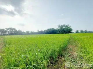 For sale land in Nong Saeng, Saraburi