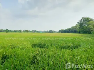 For sale land in Nong Saeng, Saraburi