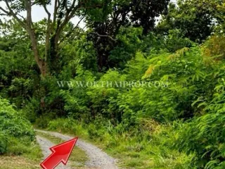 For sale land in Phra Phutthabat, Saraburi