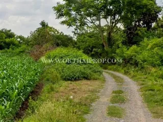 For sale land in Phra Phutthabat, Saraburi