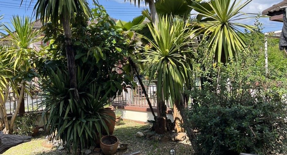 For sale 3 bedrooms house in San Kamphaeng, Chiang Mai