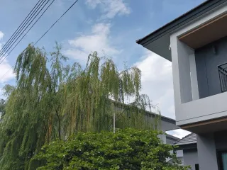 For sale and for rent 4 bedrooms house in Si Racha, Chonburi
