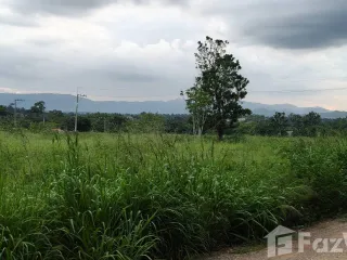 Grundstück zum Kauf in Pak Chong, Nakhon Ratchasima