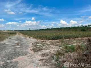 出售 土地 在 Nikhom Phatthana, Rayong
