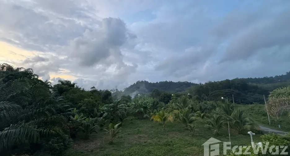 出售 和 出租 4 卧室 别墅 在 塔朗, 普吉