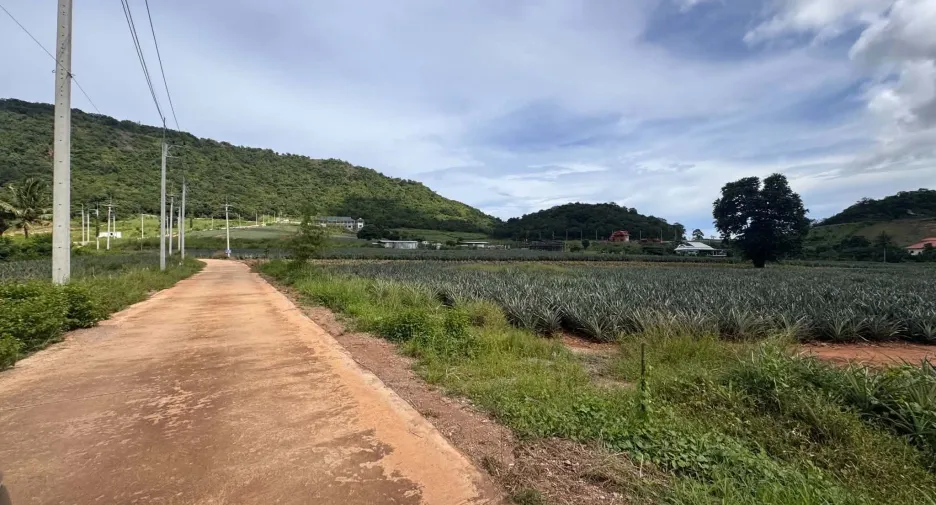 For sale land in Pran Buri, Prachuap Khiri Khan