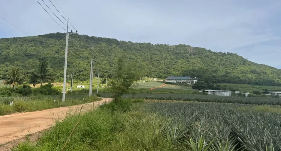 For sale land in Pran Buri, Prachuap Khiri Khan