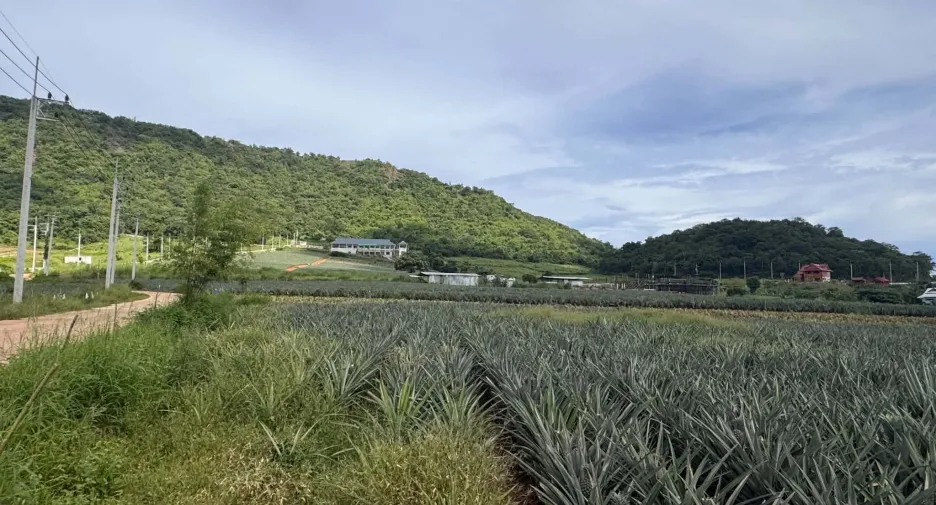 For sale land in Pran Buri, Prachuap Khiri Khan
