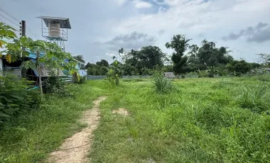 出售 土地 在 塔朗, 普吉