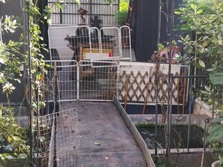 出售 4 卧室 独立屋 在 Sai Mai, 曼谷