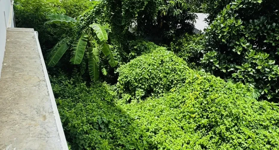 Haus zum Kauf mit 4 Zimmer in Bang Lamung, Chonburi