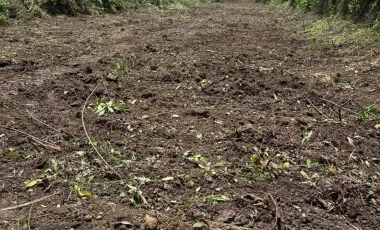Grundstück zum Kauf in Chom Bueng, Ratchaburi