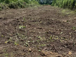 For sale land in Chom Bueng, Ratchaburi