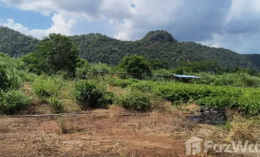 Grundstück zum Kauf in Pak Chong, Nakhon Ratchasima