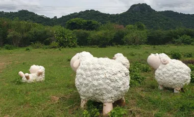 Grundstück zum Kauf in Pak Chong, Nakhon Ratchasima