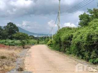 For sale land in Pak Chong, Nakhon Ratchasima