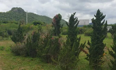 Grundstück zum Kauf in Pak Chong, Nakhon Ratchasima