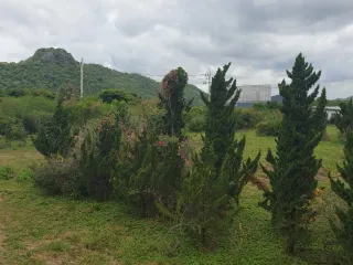 For sale land in Pak Chong, Nakhon Ratchasima
