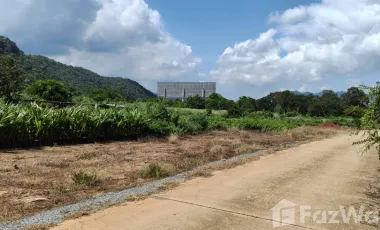 Grundstück zum Kauf in Pak Chong, Nakhon Ratchasima