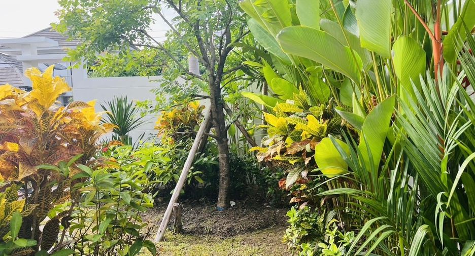 For sale and for rent 3 bedrooms house in Mueang Phuket, Phuket