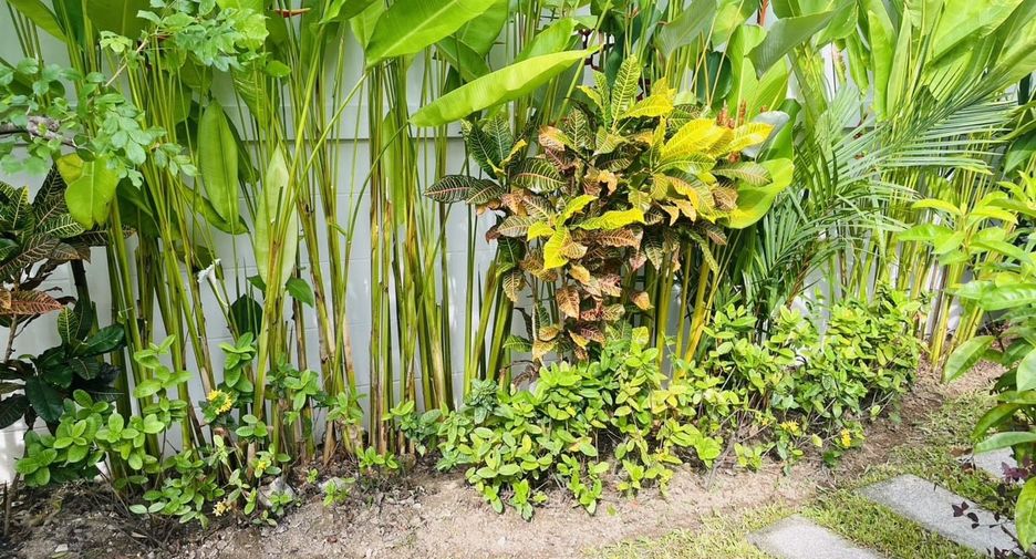 For sale and for rent 3 bedrooms house in Mueang Phuket, Phuket