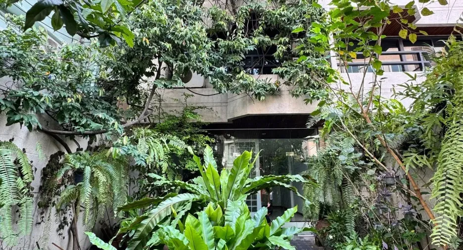 Reihenhaus zur Miete mit 6 Zimmer in Phra Khanong, Bangkok