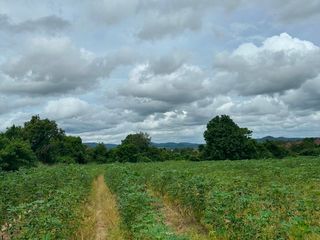 For sale land in Si Racha, Chonburi