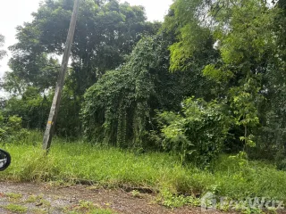 For sale land in Min Buri, Bangkok