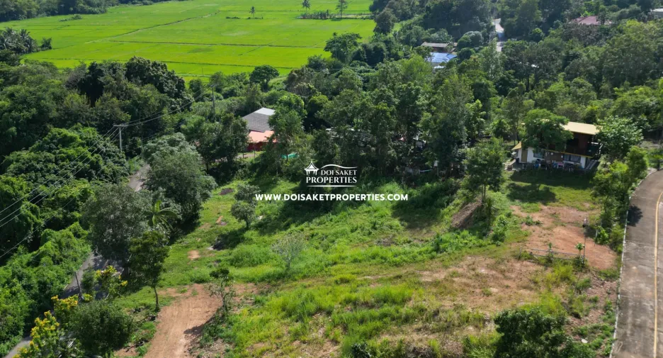À vendre terrain à San Sai, Chiang Mai
