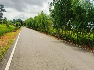 For sale land in Prang Ku, Sisaket