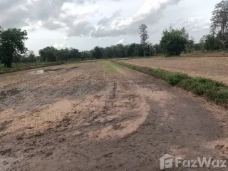 For sale land in Prang Ku, Sisaket