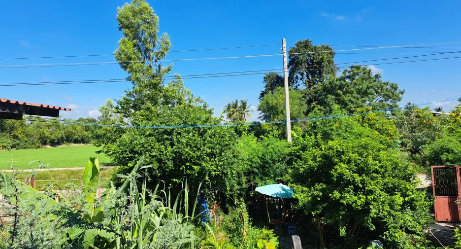 Haus zum Kauf mit 2 Zimmer in Samko, Ang Thong