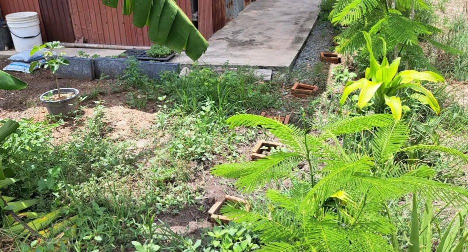 Haus zum Kauf mit 2 Zimmer in Samko, Ang Thong