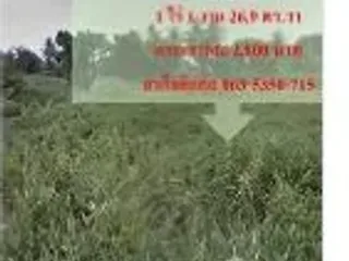 Продажа Участок в Pak Kret, Нонтабури