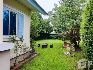 出售 3 卧室 独立屋 在 San Sai, Chiang Mai