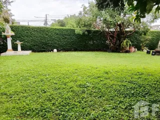 出售 3 卧室 独立屋 在 San Sai, Chiang Mai