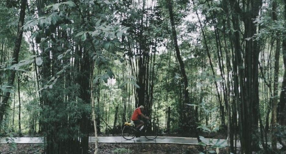 出售 2 卧室 独立屋 在 Hang Dong, Chiang Mai