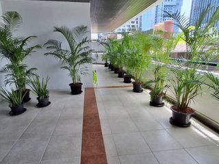 For rent 4 ベッドルーム condo in Khlong Toei, Bangkok