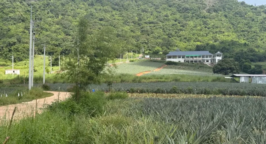 For sale land in Pran Buri, Prachuap Khiri Khan