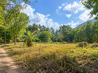 For sale land in Ko Samui, Surat Thani