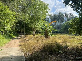 For sale land in Ko Samui, Surat Thani
