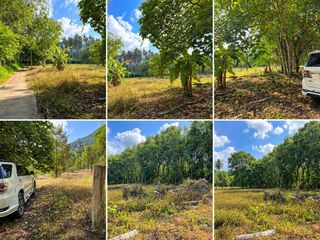 For sale land in Ko Samui, Surat Thani