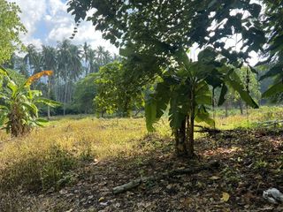 For sale land in Ko Samui, Surat Thani