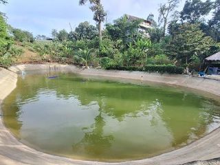 For sale 5 ベッドルーム villa in Takua Thung, Phang Nga
